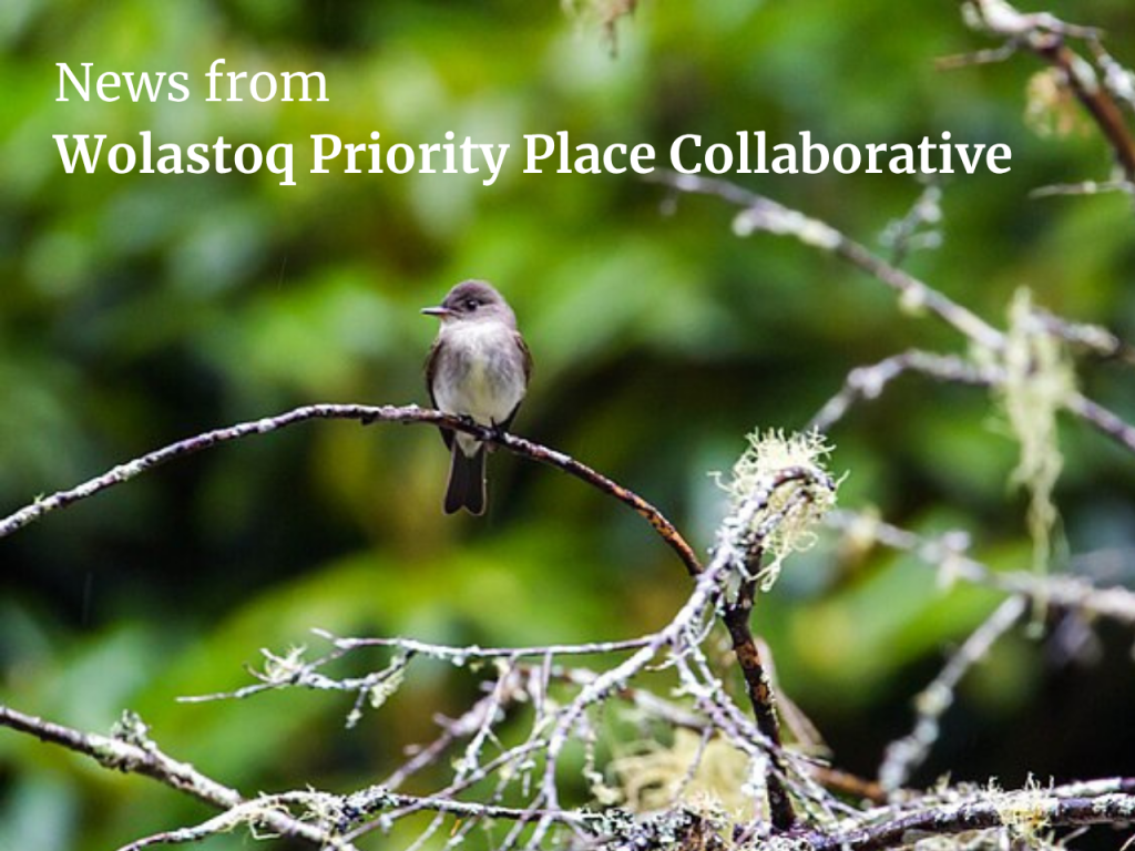 News From Wolastoq Priority Place Collaborative